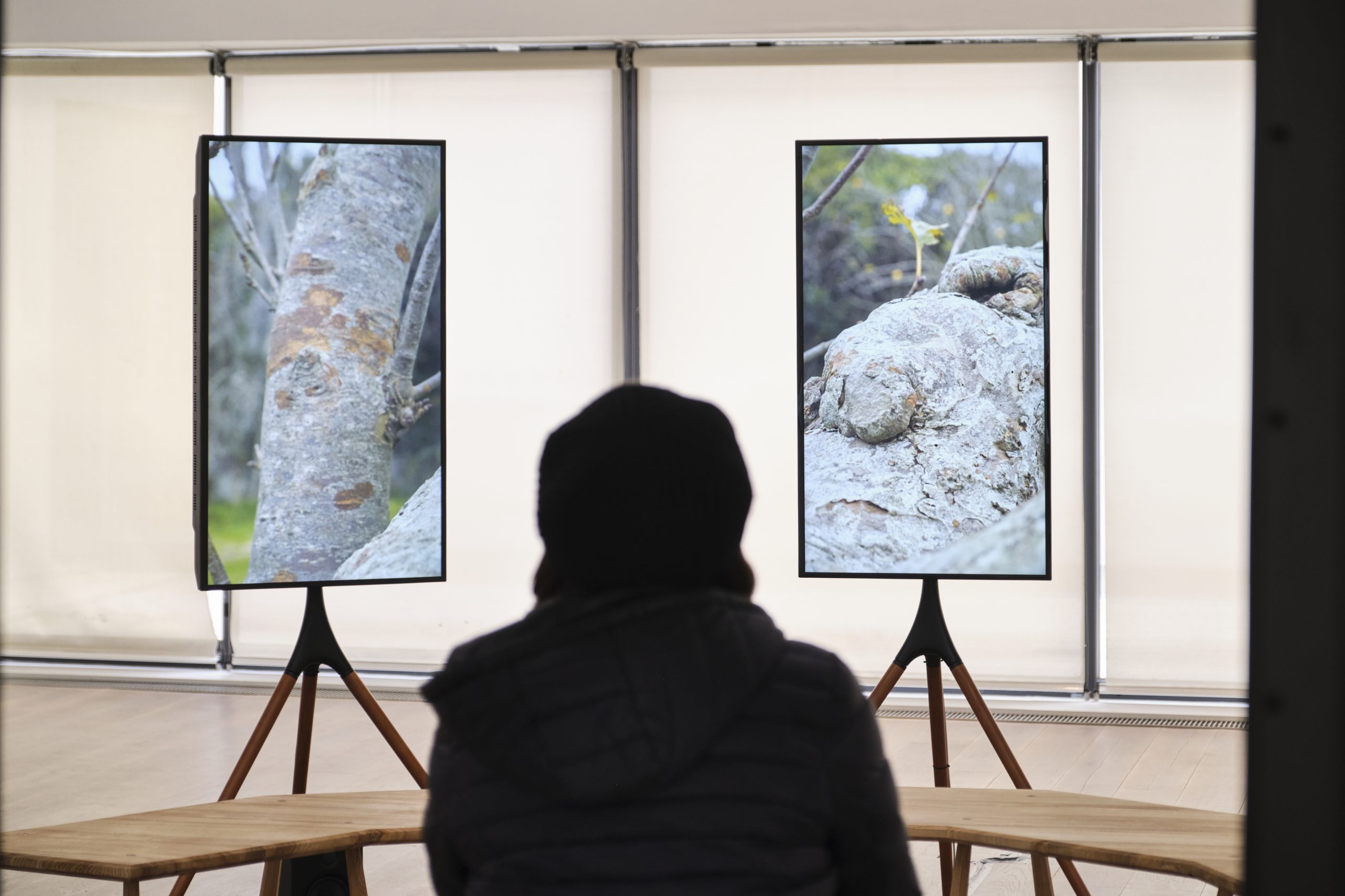 Silhouette of a person sitting and watching the audio/visual installation